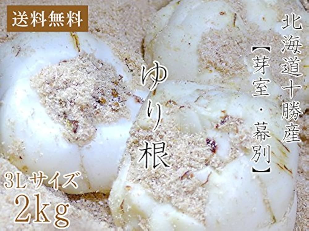 かとりんです！ ２Ｌサイズ 奄美産 3キロ 中キズあり❯2Lサイズきんかん(1kg) ガブっと！：鹿児島県産の